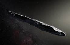 Nasa releases never-before-seen image of mysterious object that arrived from another solar system