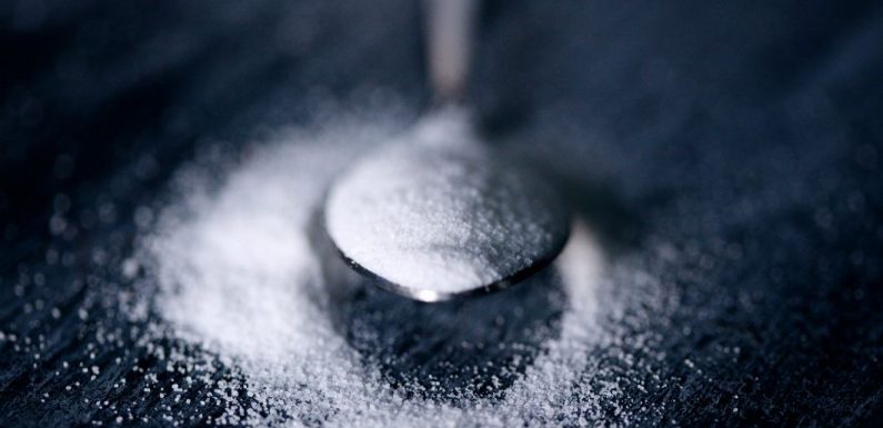Une alimentation trop riche en sucre transforme le cerveau