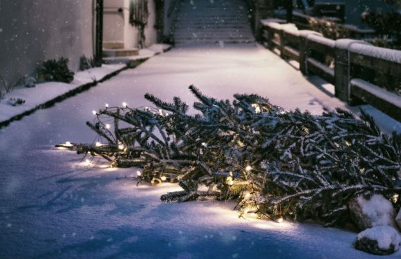 Noël peut être un enfer pour les jeunes mères, voici comment l&rsquo;éviter