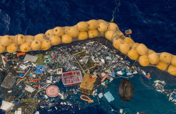 Nonprofit The Ocean Cleanup shows off its horrifying plastic trash haul