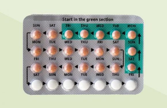 L’hypothalamus est plus petit chez les femmes qui prennent une pilule contraceptive