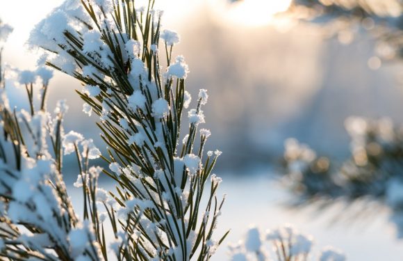 Le saviez-vous ? La langue écossaise a 421 mots et expressions pour désigner la neige
