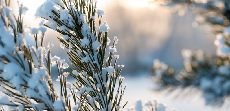 Le saviez-vous ? La langue écossaise a 421 mots et expressions pour désigner la neige