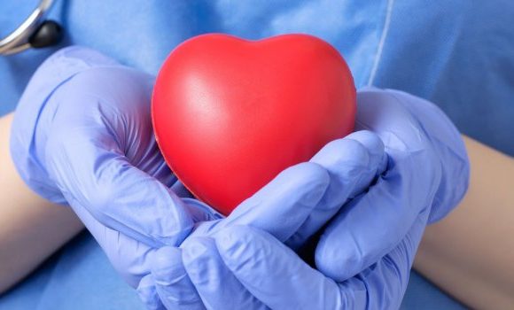 Greffe : des médecins raniment un cœur mort pour le transplanter