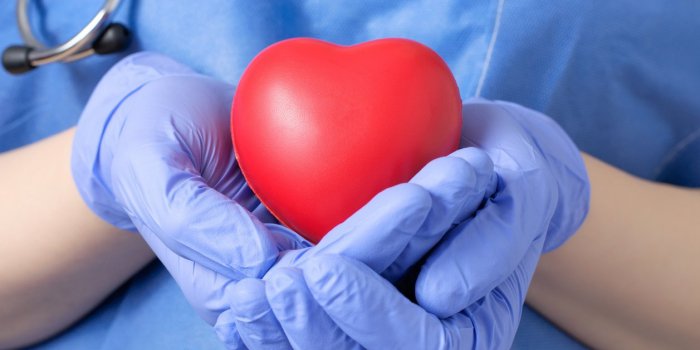 Greffe : des médecins raniment un cœur mort pour le transplanter