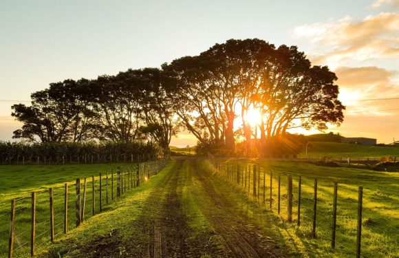 Ecologie, agriculteurs : gare au mythe d’une campagne idéalisée !
