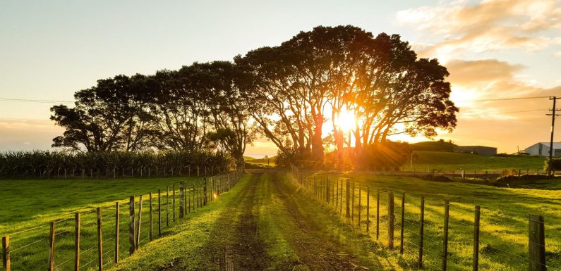 Ecologie, agriculteurs : gare au mythe d’une campagne idéalisée !