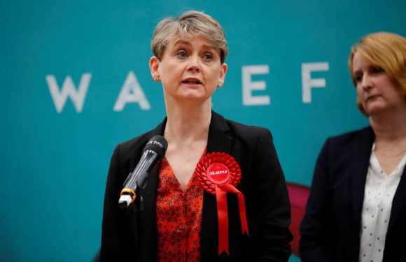 Election results: Record number of female MPs win seats