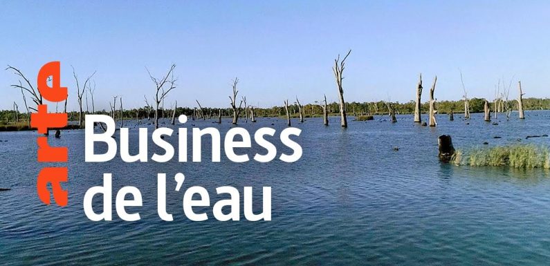 Main basse sur l’eau : la bataille de l’or bleu | ARTE