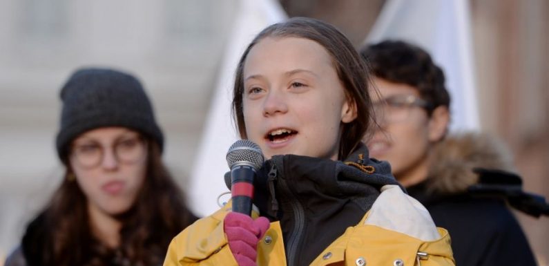 Un bug sur Facebook a révélé que des messages postés par Greta Thunberg auraient été rédigés par le compte de son père