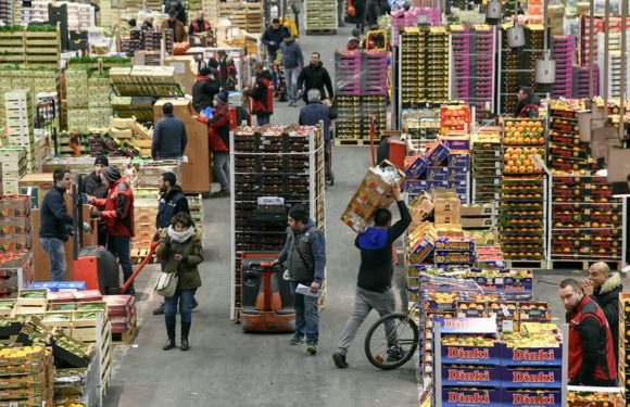 La redistribution pallie les inégalités, elle ne les corrige pas