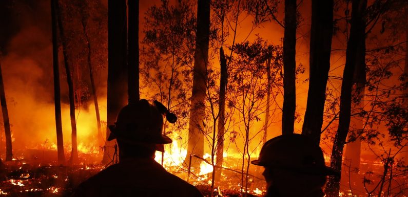 Australia fire relief efforts get boost from sex workers and Instagram models who have raised more than $1 million