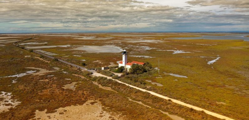 Menacée par la sécheresse, la Camargue risque de finir sous l’eau