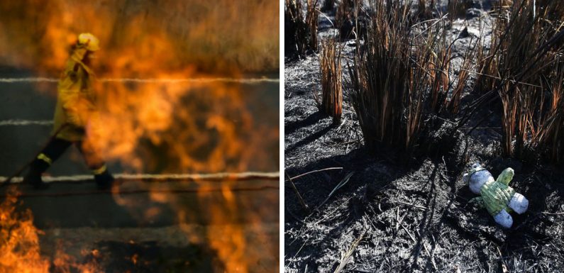 Plus de 100 personnes ont été arrêtées pour avoir délibérément allumé des feux de forêt en Australie