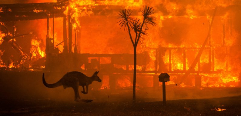 How I Captured the Devastation of Australia’s Fires in One Photo