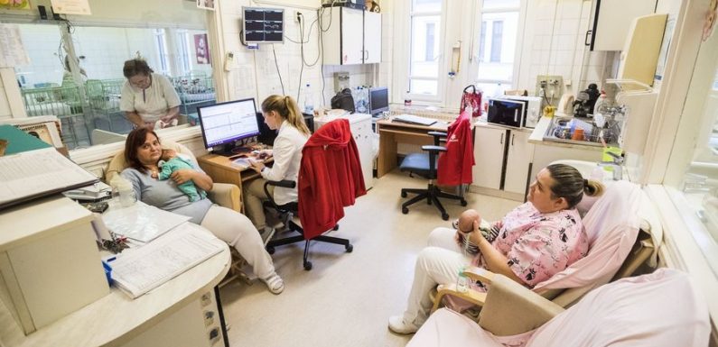 La Hongrie rend gratuite la PMA pour renforcer sa natalité en chute libre