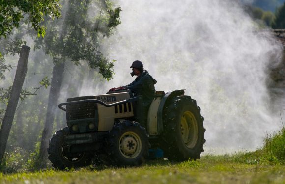 Les ventes de pesticides ont explosé en 2018, les associations écologistes consternées