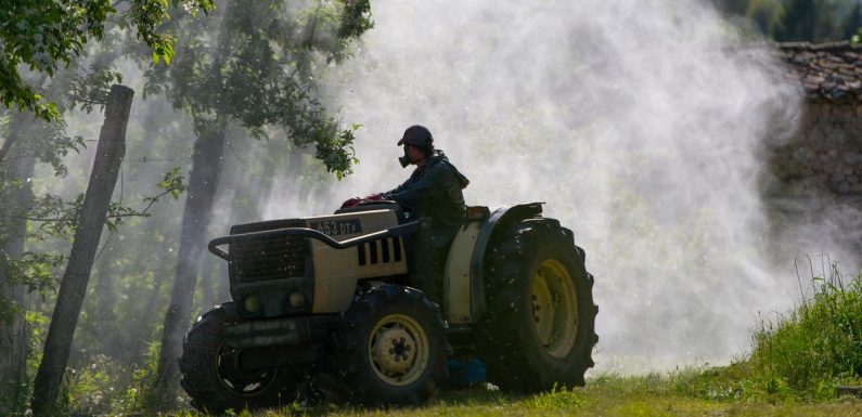 Les ventes de pesticides ont explosé en 2018, les associations écologistes consternées