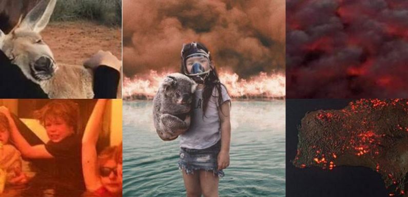 VRAI OU FAKE Incendies en Australie : ces cinq images qui ont trompé des milliers de personnes sur les réseaux sociaux