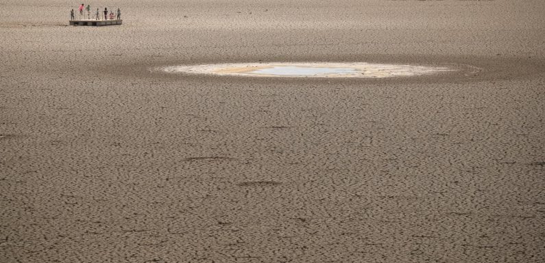 L’année 2019 a été la deuxième plus chaude dans le monde depuis le début des relevés