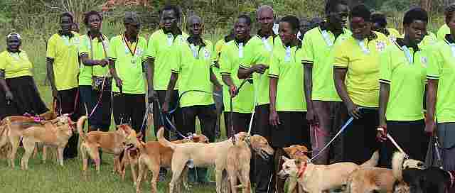 In northern Uganda, therapy dogs are helping the survivors of war cope with their trauma