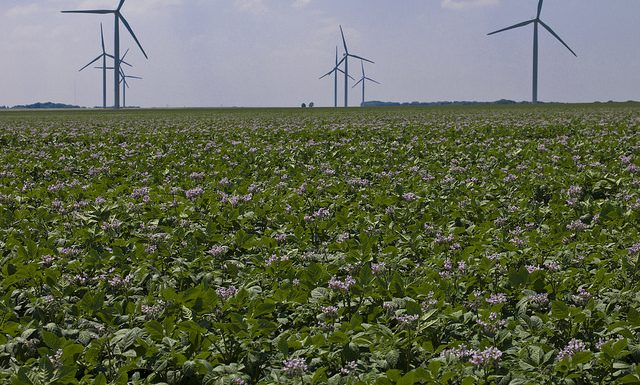 Transition énergétique : une régression sans précédent ?