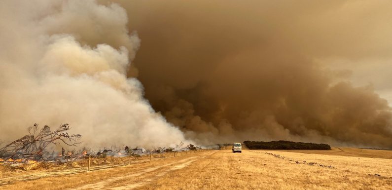 Incendies en Australie : les raisons d’une catastrophe écologique majeure