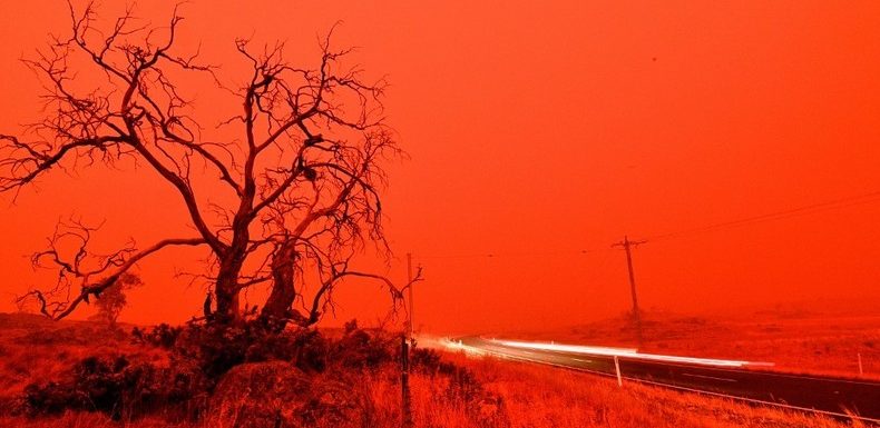 24 personnes arrêtées pour avoir déclenché des incendies en Australie