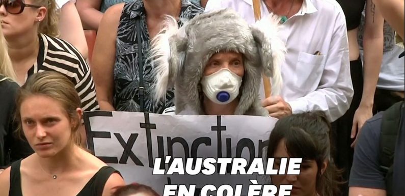 Ces Australiens manifestent contre la gestion des incendies par leur premier ministre