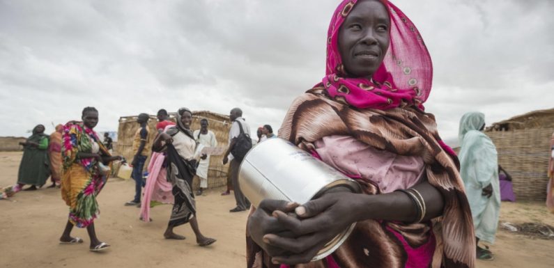UNHCR seeks international solidarity for refugees and hosts in Sudan