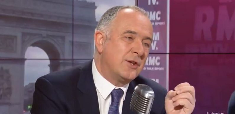 Pour les chats non identifiés, Didier Guillaume veut une amende à 135 euros