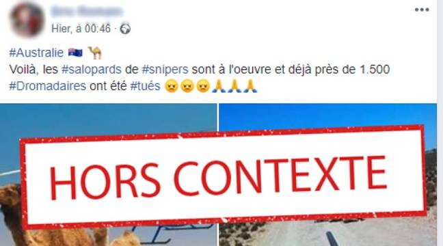 Incendies en Australie : Non, ces photos ne montrent pas des dromadaires abattus cette semaine