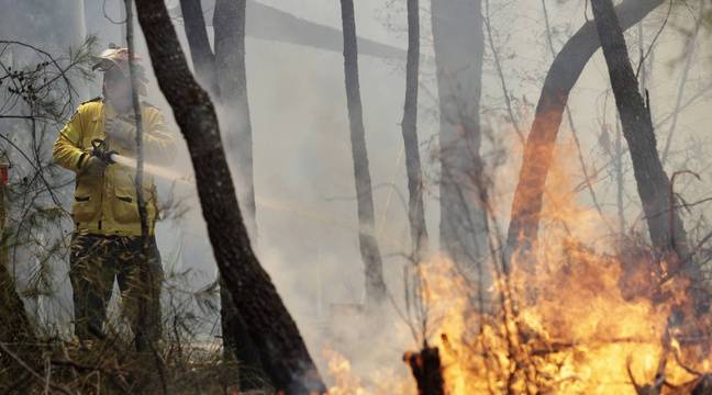 Incendies en Australie : Le « méga-feu » sous contrôle avant des chutes de pluie attendues pour la semaine prochaine
