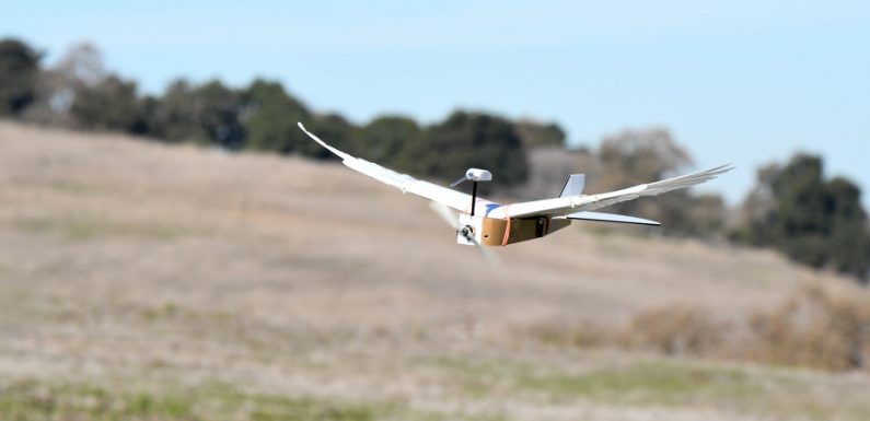Les drones pourraient bientôt voler comme des oiseaux