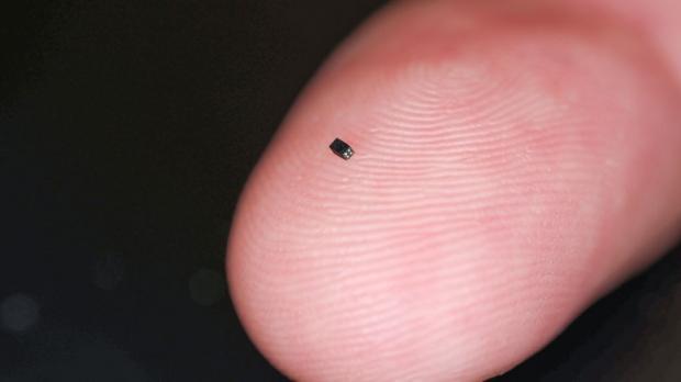 World’s smallest camera is the size of a grain of sand