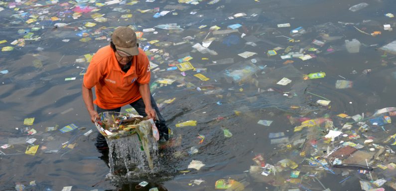 Un Irlandais de 18 ans invente un procédé révolutionnaire pour nettoyer les océans