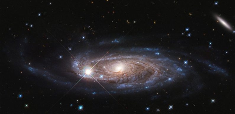 Espace : un mystérieux signal radio localisé dans une galaxie voisine