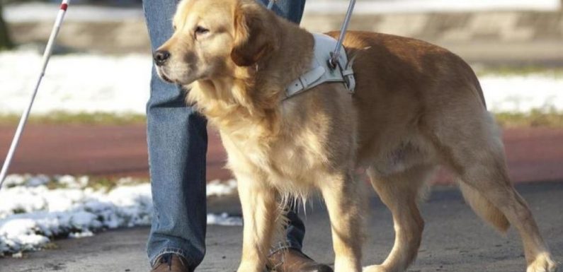 Chronique des cinglés : Est-il moral pour un aveugle d’avoir un chien-guide ?