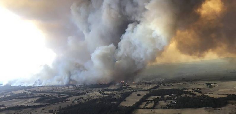 Les infos immanquables du jour : Hommage à « Charlie », incendies en Australie et trafic au ralenti