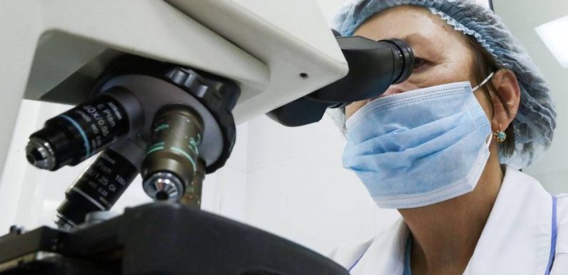 Toulouse : Des cellules réarmées pour mieux combattre le cancer (et les résultats soulèvent déjà l’espoir)