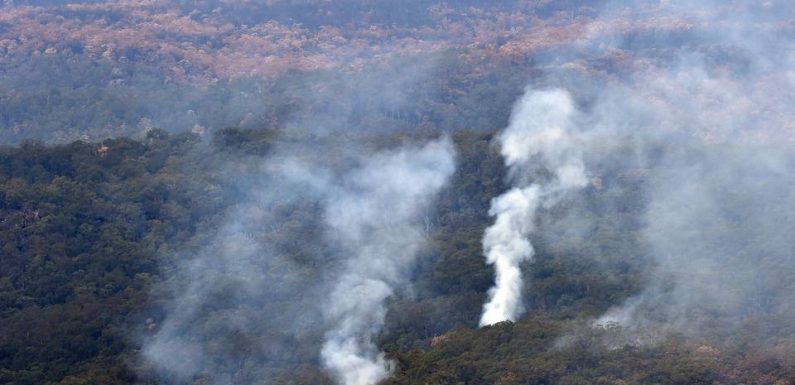 Australie : Une nouvelle vague de chaleur s’abat sur le pays ce jeudi