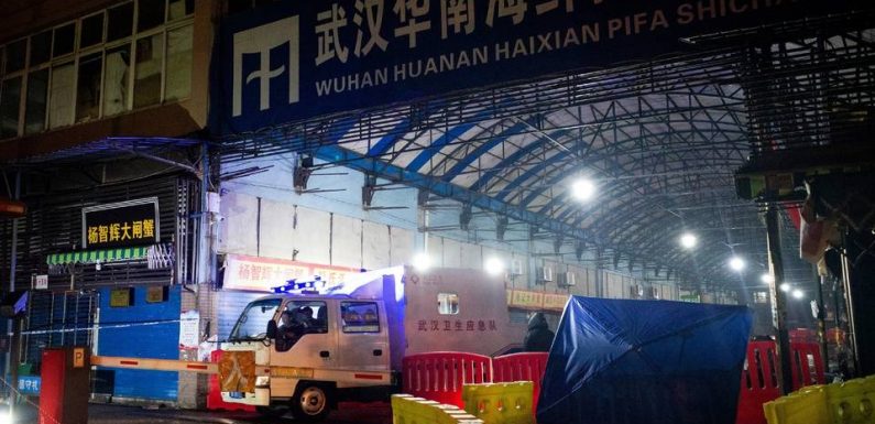 Face au mystérieux virus apparu en Chine, « Il ne faut pas céder à la panique »
