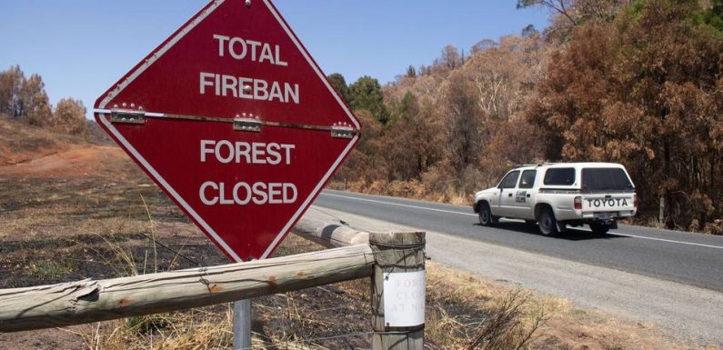 Australie : De fortes pluies apportent un répit aux pompiers, mais des dizaines de feux toujours hors de contrôle
