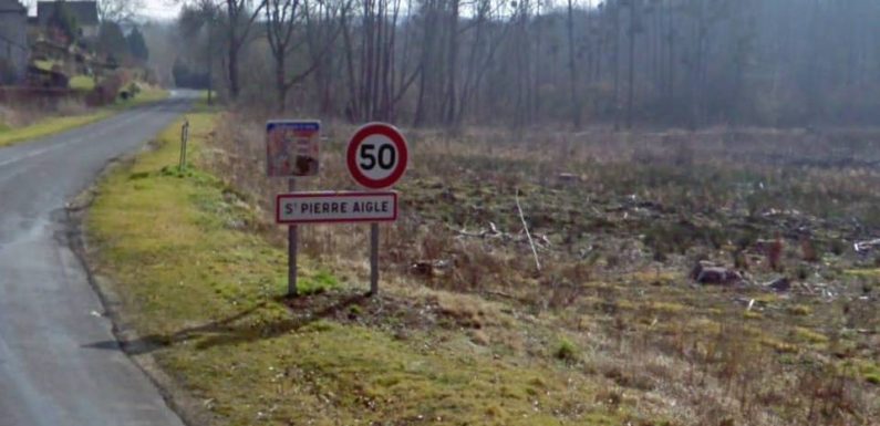 Femme tuée par des chiens : Un chien toujours en fourrière, un gendarme qui démissionne… On fait le point sur l’enquête