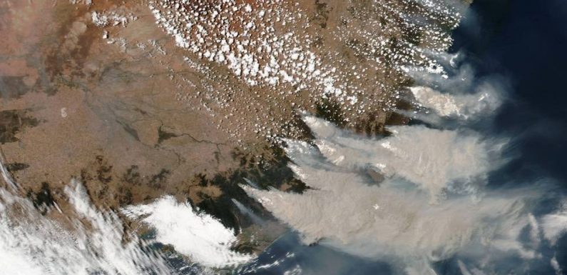 VIDEO. Incendies en Australie : Des fumées ont atteint le Chili et l’Argentine
