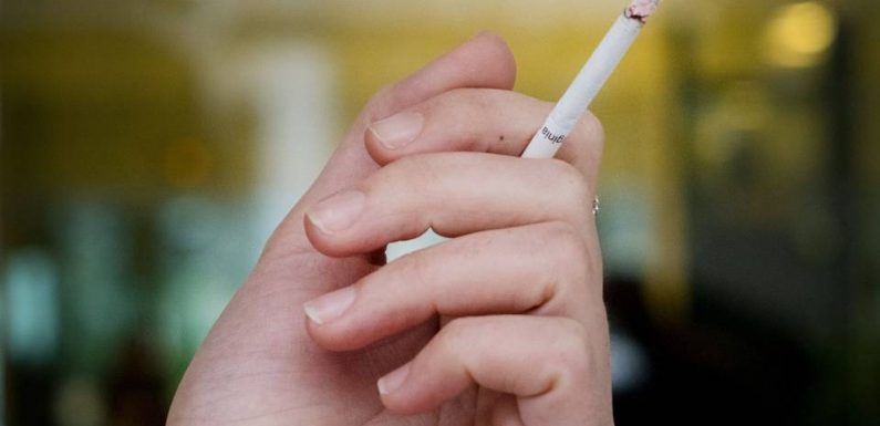 Lyon : Pour la première fois, un parc municipal va devenir non-fumeur