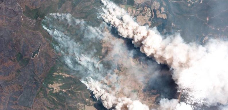 Australie : Ces feux de brousse serviront-ils d’électrochoc écologique ?