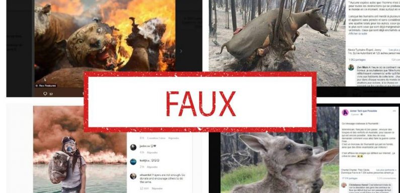 Australie : Le vrai du faux sur les images d’incendies qui circulent sur les réseaux sociaux