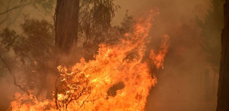 Australie : Les « orages de feu », un phénomène météo né des incendies, se multiplient