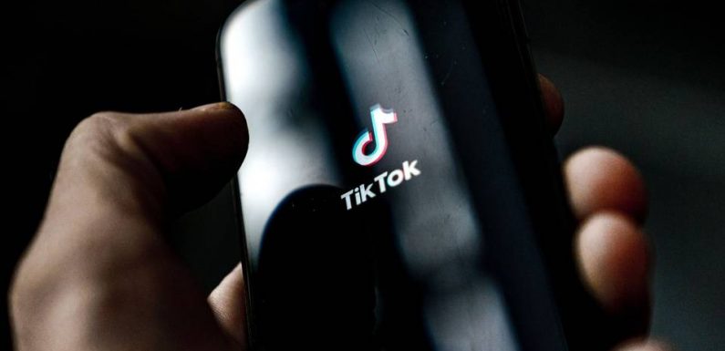 Retrait de contenus, suppression de comptes… Les autorités françaises ont formulé plusieurs « requêtes » auprès de TikTok